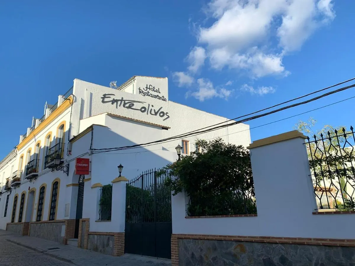 Hotel Entreolivos El Pedroso 2*,