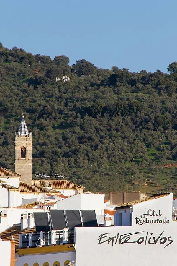 Hotel Entreolivos El Pedroso