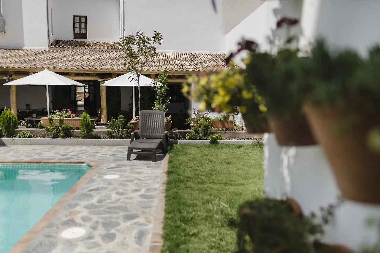 Hotel Entreolivos El Pedroso Španělsko